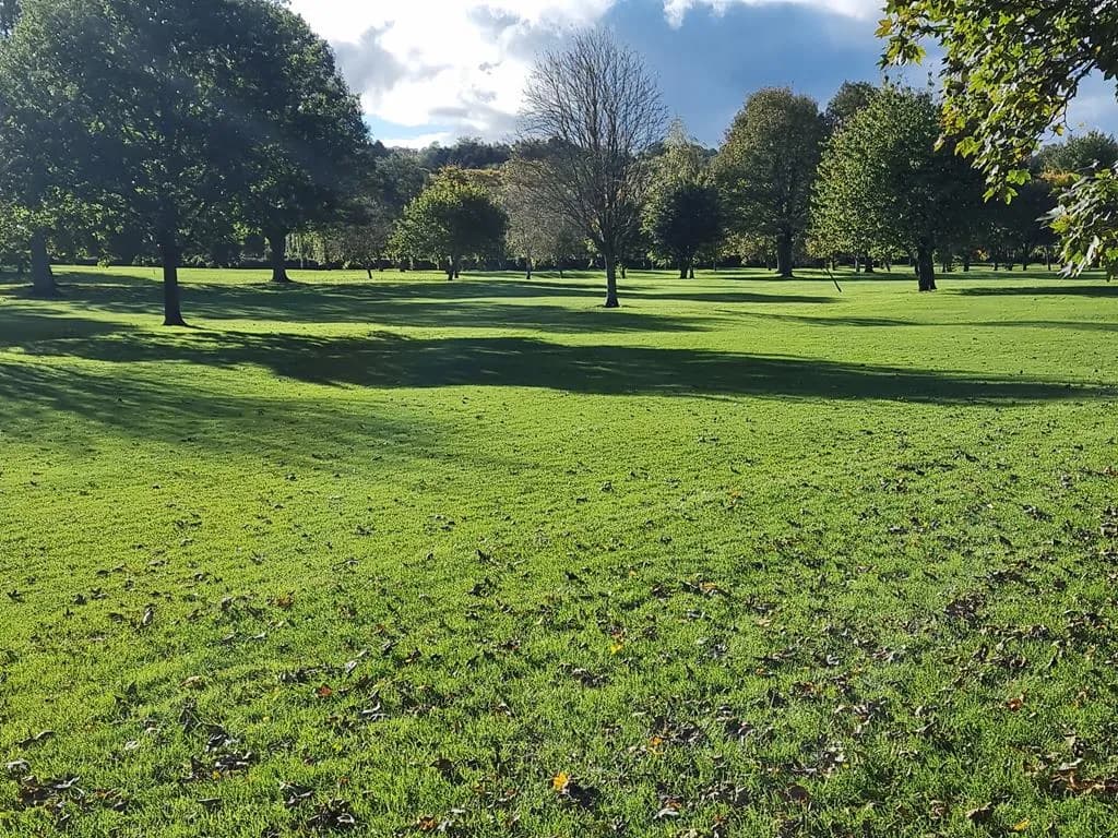 A Sporting Life in Hexham: The Clubs, Grounds and Traditions That Unify Our Community